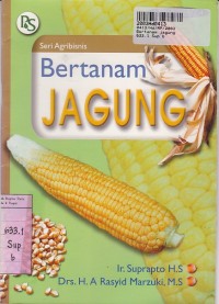 Bertanam Jagung