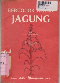 Bercocok Tanam Jagung