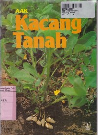 Kacang Tanah