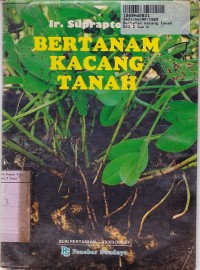 Seri Pertanian: Bertanam Kacang Tanah