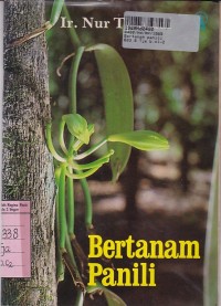 Bertanam Panili