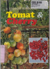 Tomat & Cherry