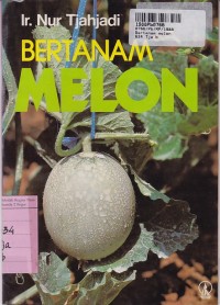 Bertanam Melon