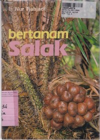 Bertanam Salak