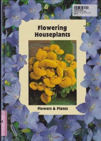 Flowering Houseplants: Flower & Plants