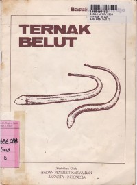 Ternak Belut