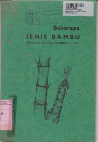 Beberapa Jenis Bambu