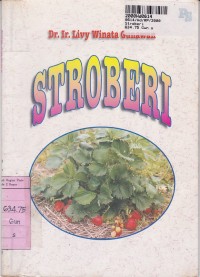 Stroberi