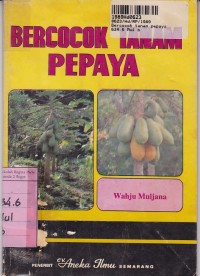 Bercocok Tanam Pepaya