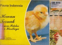 Kebesaran Ilahi di Alam Semesta=Hewan Ternak: Ayam Petelur & Hasilnya