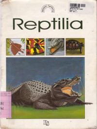 Belajar Tentang: Reptilia