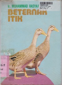 Beternak Itik