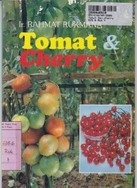 Tomat dan Cherry