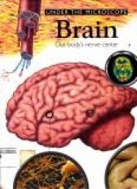Under the Microscope: Brain=Our Body's Nerve Center