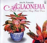 Aglaonema: Pesona Kecantikan Sang Ratu Daun