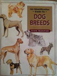 An Identification Guide to Dog Breeds