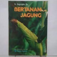 Bertanam Jagung