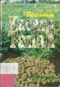 Bertanam Kacang Tanah