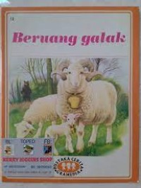 Beruang Galak