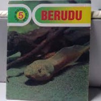 Berudu