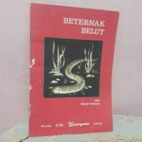 Beternak Belut