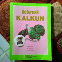 Beternak Kalkun