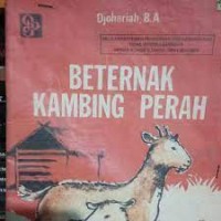 Beternak Kambing Perah