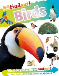 Image of Birds