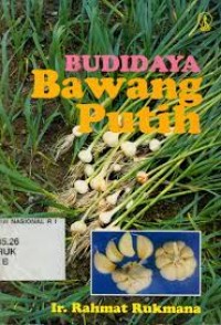 Budidaya Bawang Putih