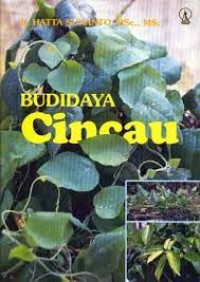 Budidaya Cincau