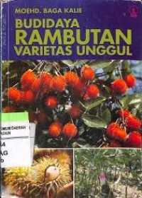 Budi daya Rambutan Varietas Unggul