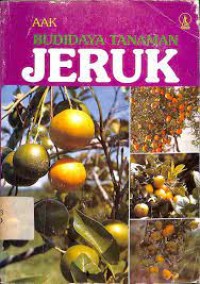 Budi Daya Tanaman Jeruk