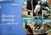 Burung-burung yang Dilindungi [3]