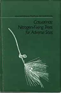 Casuarinas: Nitrogen-Fixing Trees for Adverse Sites