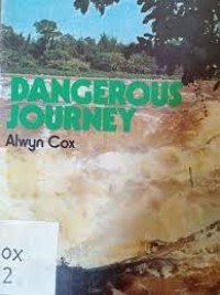 Dangerous Journey