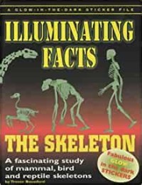 Illuminating Facts : The Skeleton