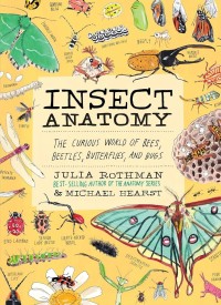 Image of Insect Anatomy