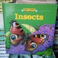 Insects