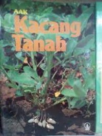 Kacang Tanah