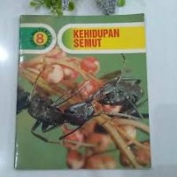 Kehidupan Semut