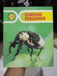 Kumbang Penggerek