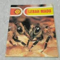 Lebah Madu