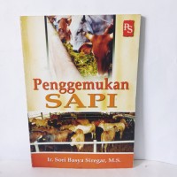 Penggemukan Sapi