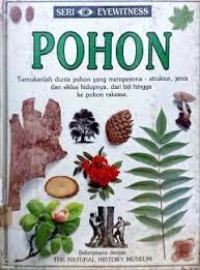 Pohon