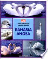 Rahasia Angsa