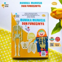 Rangka Manusia dan Fungsinya