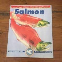 Salmon