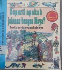 Seperti Apakah Jalanan Bangsa Maya?