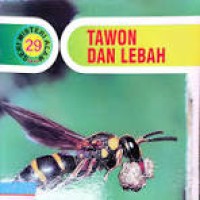 Tawon dan Lebah