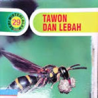 Tawon dan Lebah